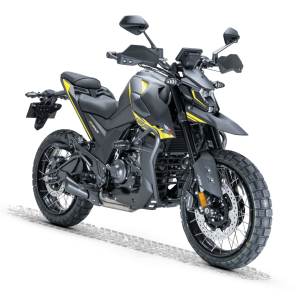 RZ125X